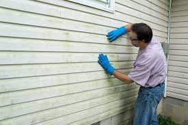 Best Siding Painting and Refinishing  in South Pottstown, PA